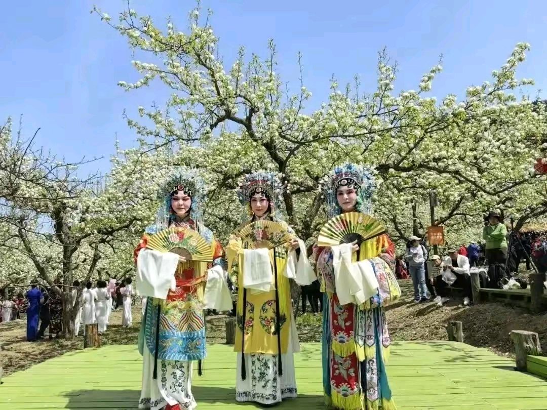 《山梨花》作者:田歌。配乐:东北方言诗解说《画面音乐》。[中国现代诗歌文化传媒]（图12）
