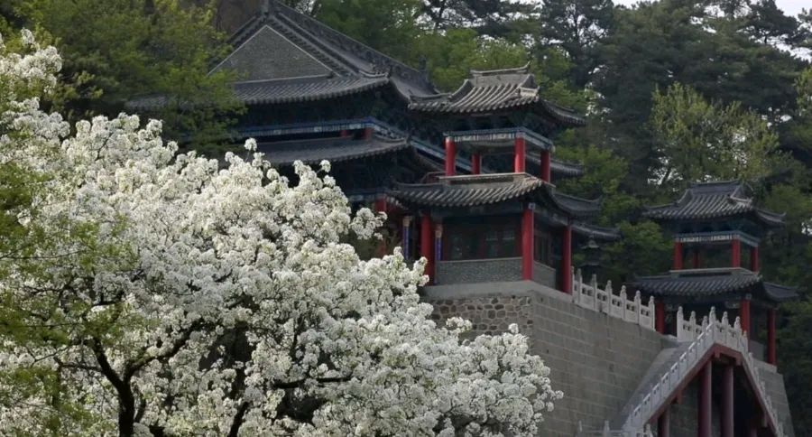 《山梨花》作者:田歌。配乐:东北方言诗解说《画面音乐》。[中国现代诗歌文化传媒]（图10）