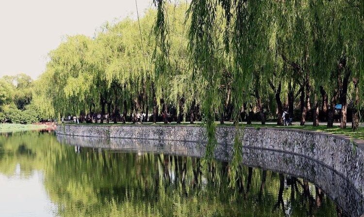 七律-仙桃（组合）诗||王金廷（图17）