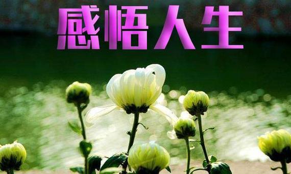 《许峰诗歌研究院》诗词歌赋欣赏（图5）