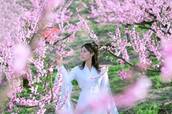 《九江文学社：北京头条》诗词歌赋欣赏（图13）
