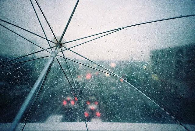 《雨中畅想》文/林水火（福建）（图3）