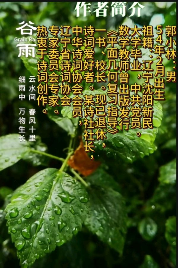 《红海棠》作者:郭小林。配乐:东北方言诗词配《画面音乐。[中国现代诗歌文化传媒]（图12）