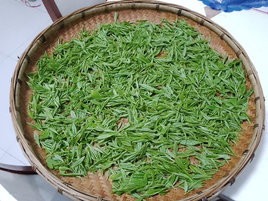 七律-古丈茶赋～诗||裴锡光（图12）