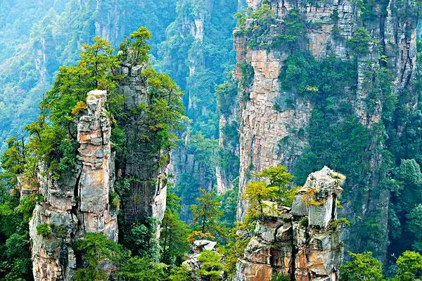 自由体《生命何处不相逢》作者/郑金波（图3）