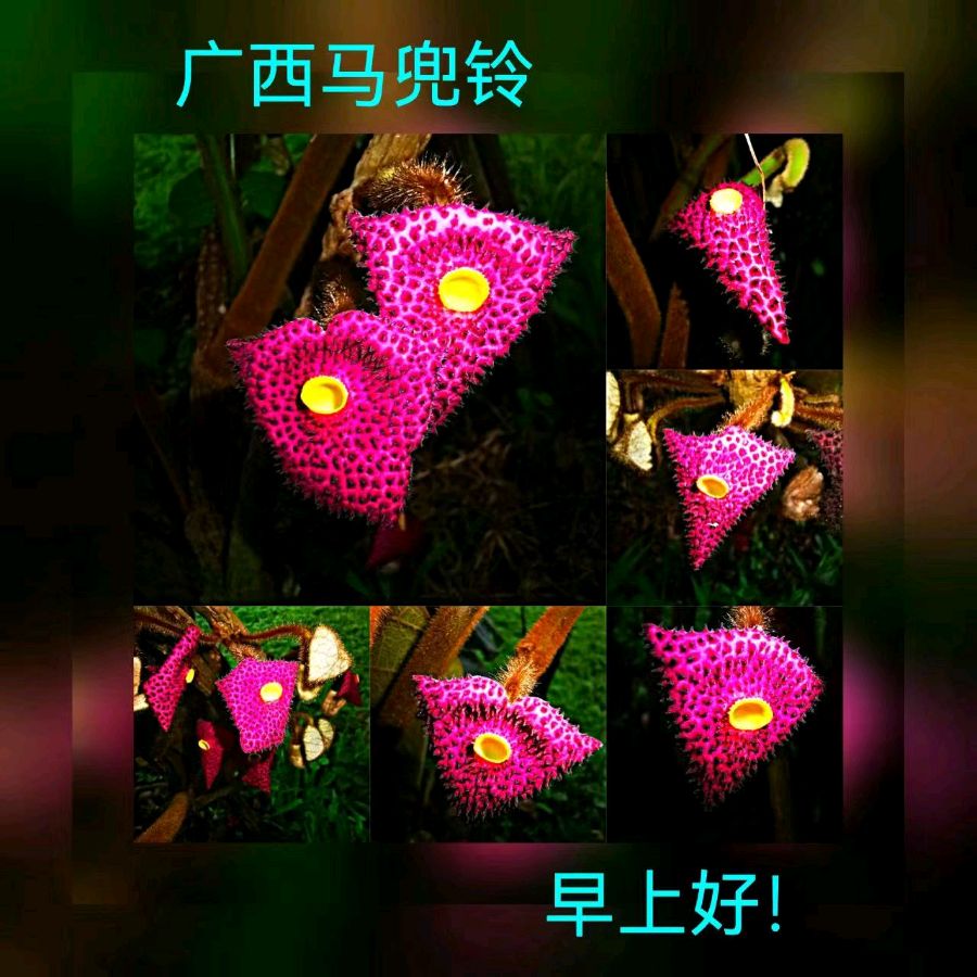 联机全球发布马洪武作品欣赏（图92）