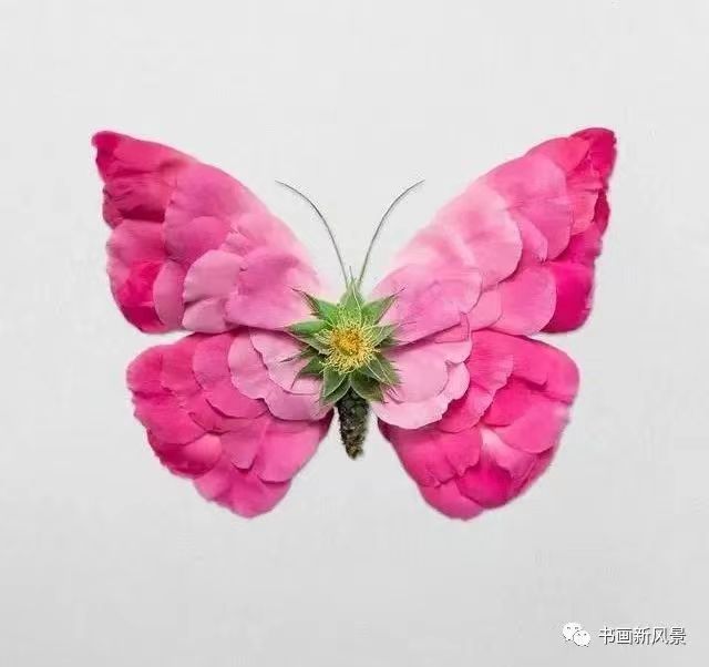 荐赏：七言律句~院阁风生意//文/庄玉琴//《炎黄诗歌》征稿//都市头条（图3）