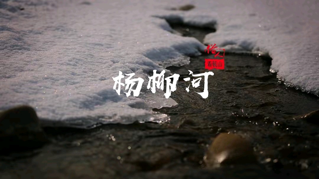《芝兰草》作者:田歌。配乐:东北方言诗词配《画面音乐》。[中国现代诗歌文化传媒]（图7）