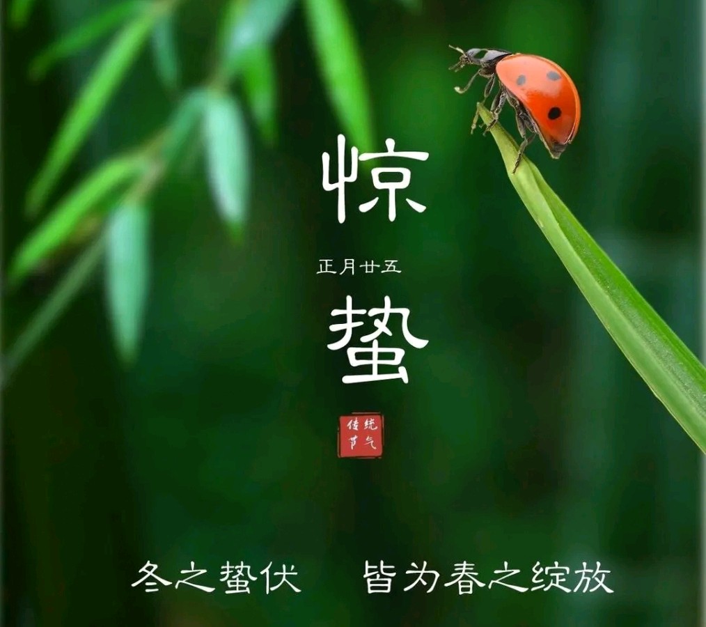 【国风燕赵诗社】北京诗人文坛娇子蔡玉江老师个人诗词专辑(图19)
