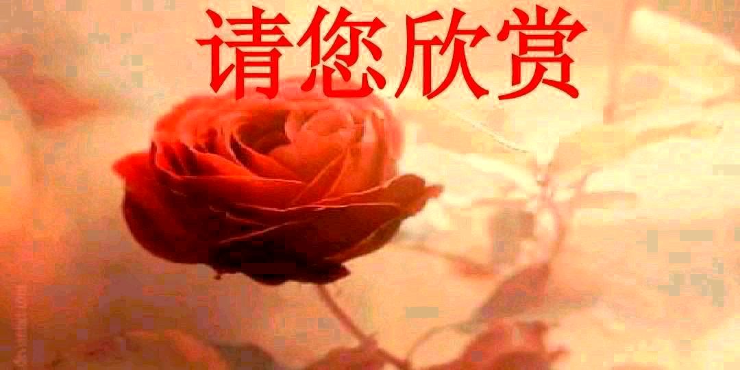 藏头诗:珍惜当下认真生活 文/王俊杰(天津)