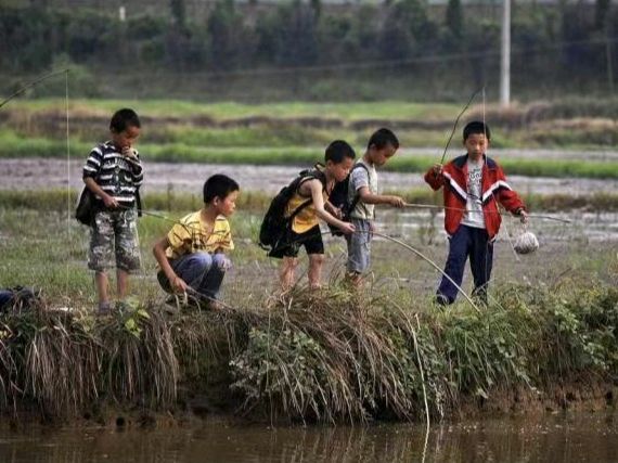 【国风湖南】第46期 童年四月天(图2)