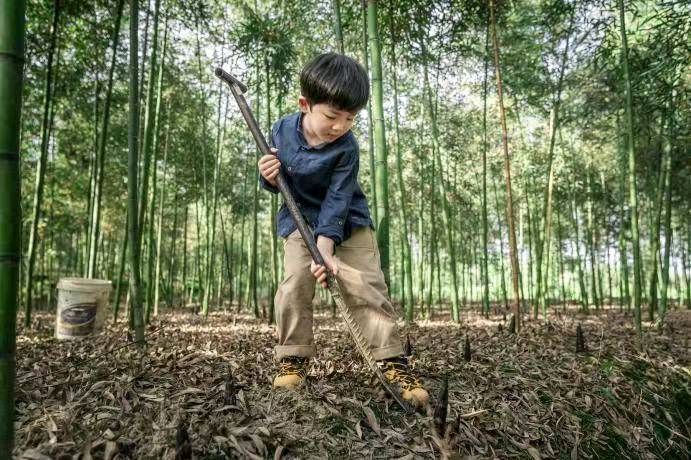 【国风湖南】第46期 童年四月天(图5)