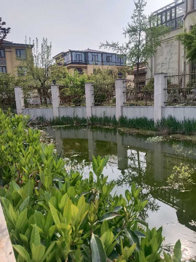 七律十首 冰花（图2）