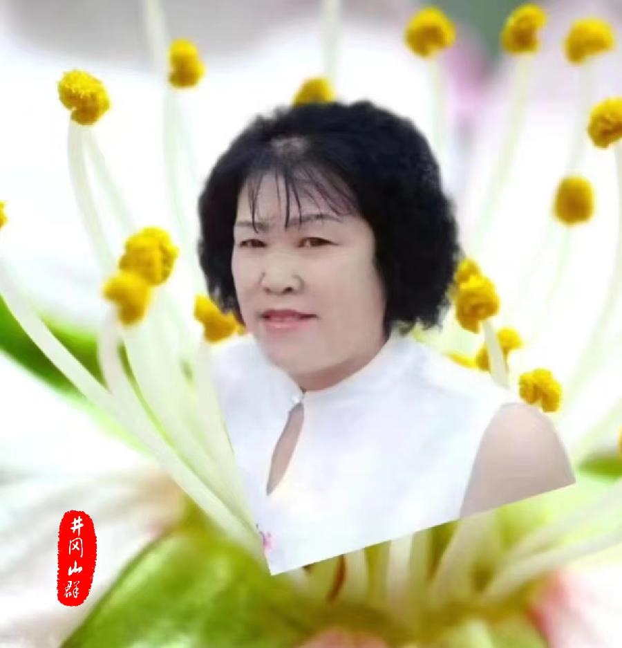 七律-玉洁冰清～诗||冰清玉洁（图14）