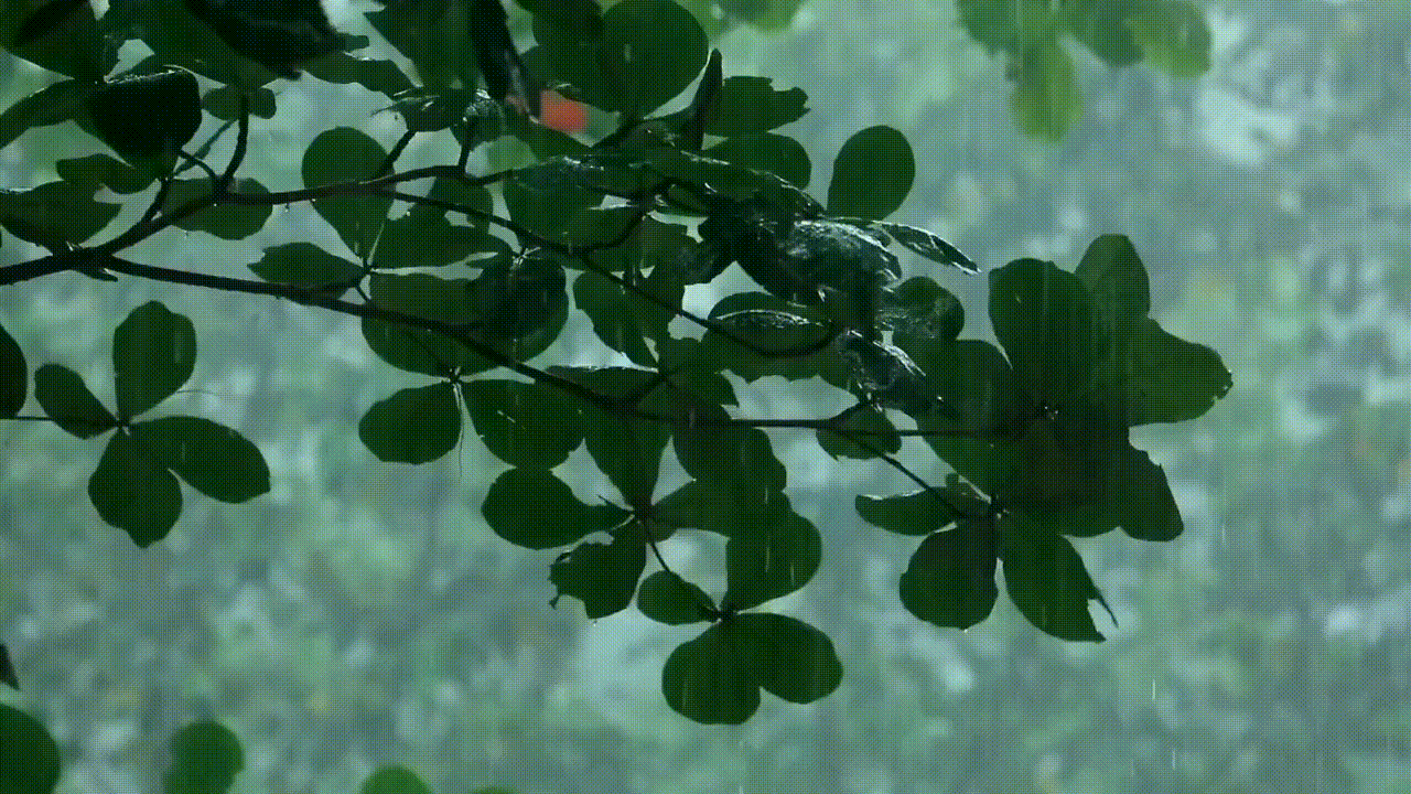 《致劳动者》作者/春韵 诵读/梅竹编辑制作/青青【花雨馨声】第624期（图3）