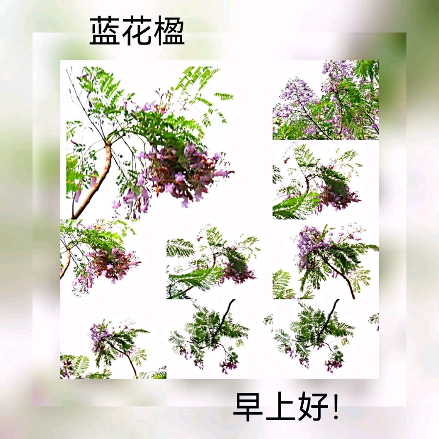 联机全球发布马洪武作品欣赏（图90）