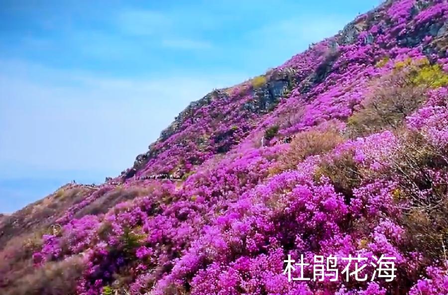 人间四月大黑山~诗||李耀文(图15)