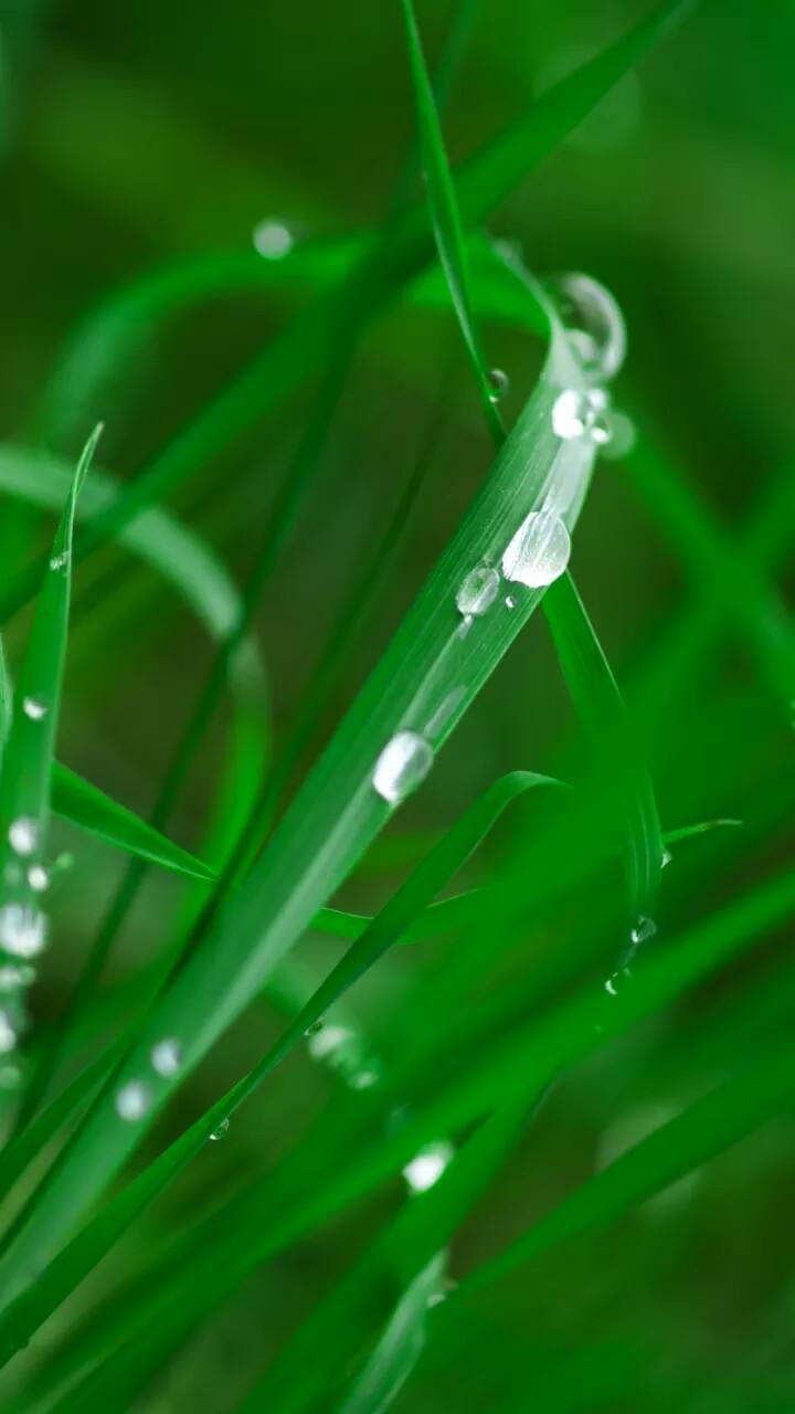 排律-细雨润物～诗||杨景儒（图8）