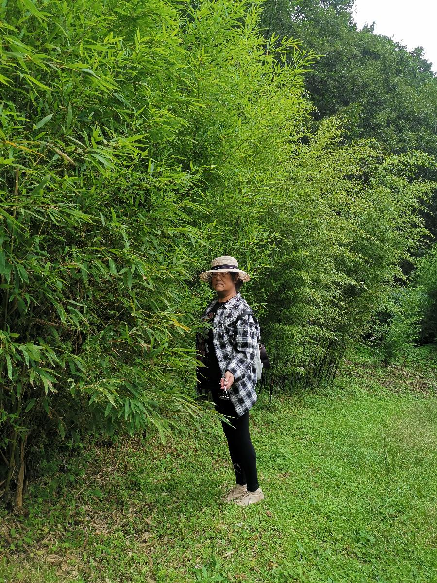七绝-山韵（外一首）诗||吴君明（图19）