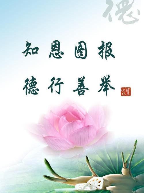 欣赏杨子钦老师自由诗.自悟（图2）