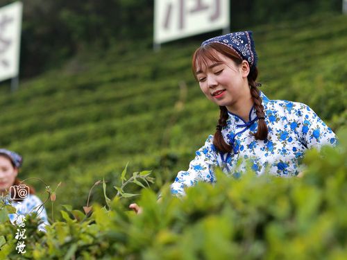 【五一特刊】礼赞五一 文/吴芳华(图2)