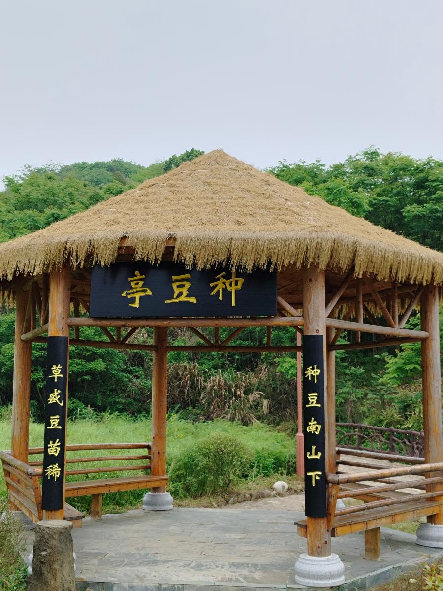 陶公故里换新颜～文||细人（图19）