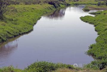 《一条河》作者:丝雨【主播:刘树清】【桃源国际诗歌文化传媒】用声音传递温暖以诵读致敬人生♬（图8）