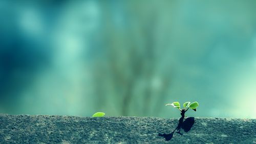 我艰难的求学之路~文||张连和(图9)