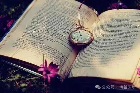 《活出自我》袁增木（图4）