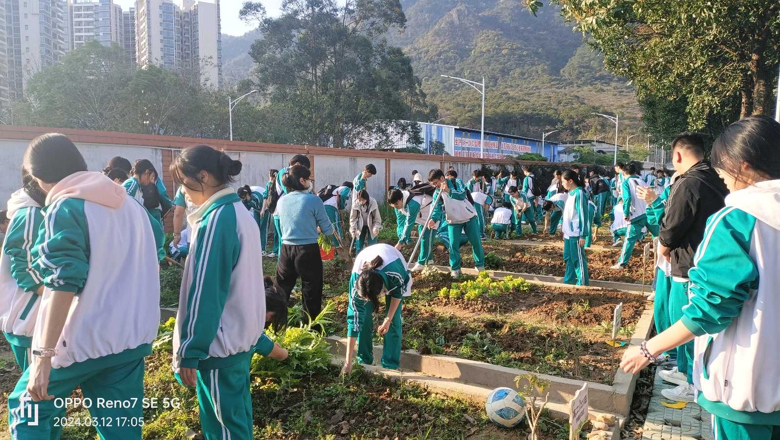 【教书育人】学校不能缺少了劳动教育（图3）