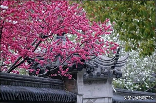 【神州源流诗苑】第1163期优秀现代诗等《都市头条》周刊(图3)