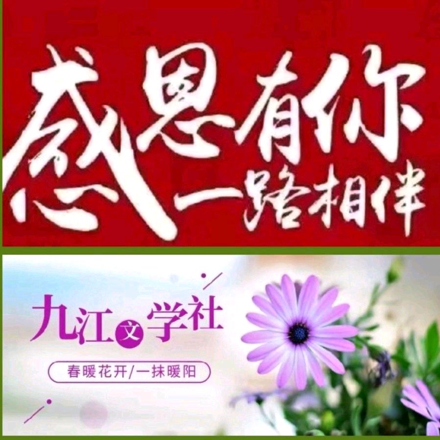 《九江文学社：北京头条》《名家专刊》优秀诗人张维清先生诗歌欣赏：《故乡》（外一首）（图7）