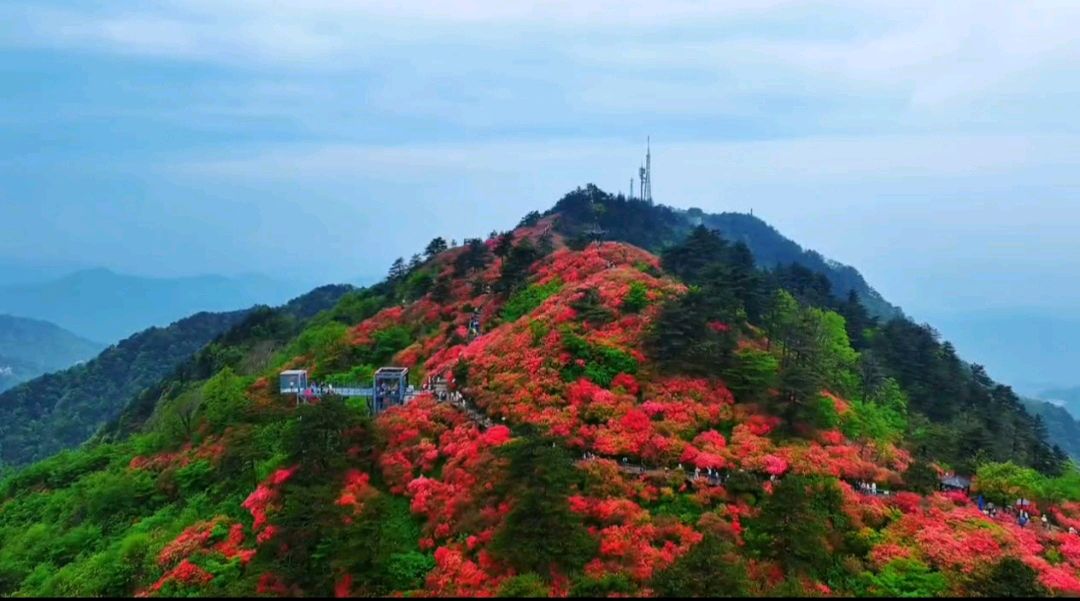 约在麻城 (散文)◎ 红榜作家 沈 志 武(图3)