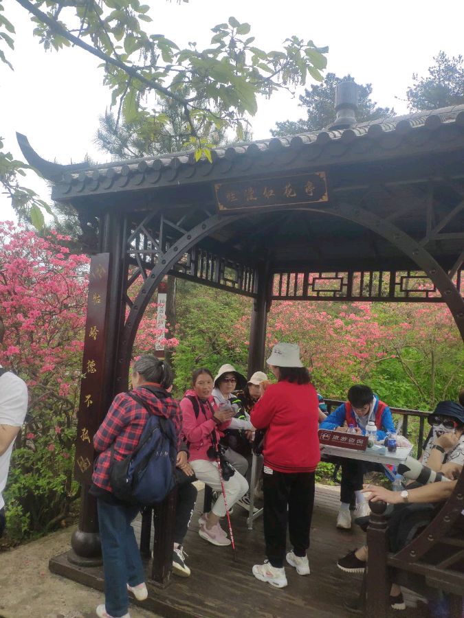 心醉龟峰山 情暖文友谊 ◎红榜作家 陈 海 燕(图6)
