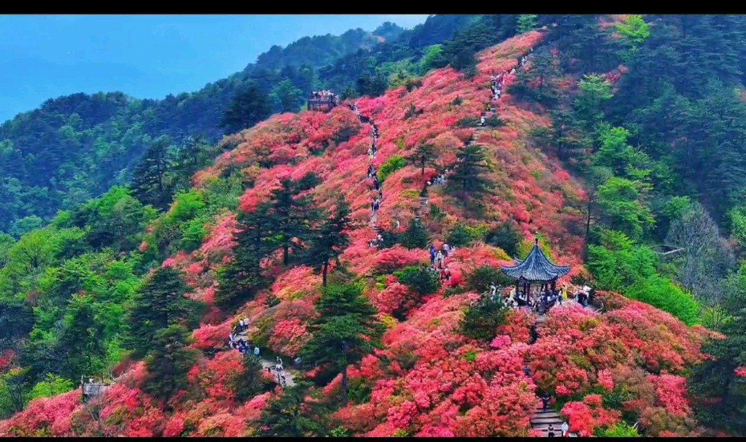 心醉龟峰山 情暖文友谊 ◎红榜作家 陈 海 燕(图2)