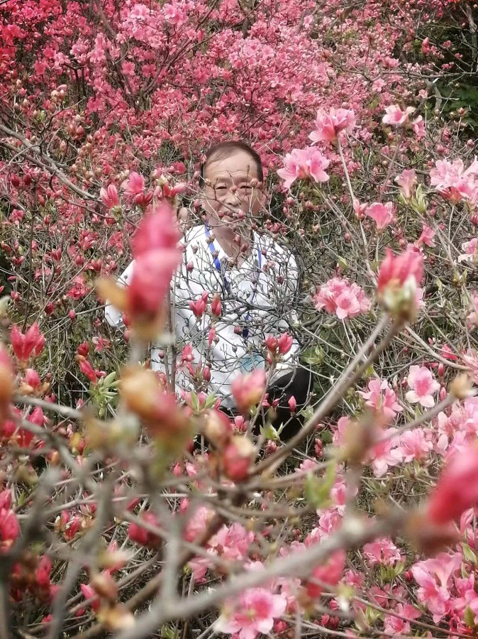 心醉龟峰山 情暖文友谊 ◎红榜作家 陈 海 燕(图4)