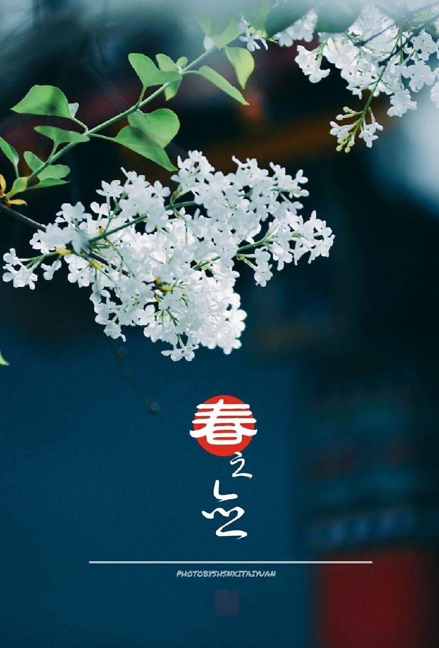 春之恋～诗||朱学钊（图9）