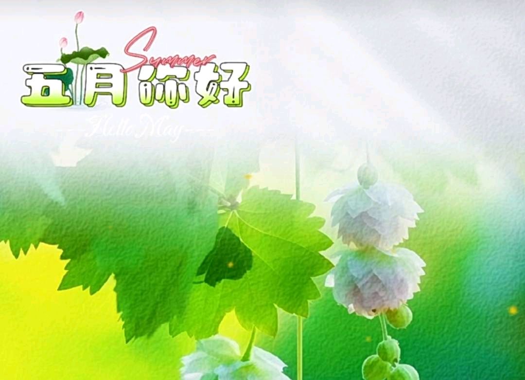 老杨老师诗词欣赏（图12）