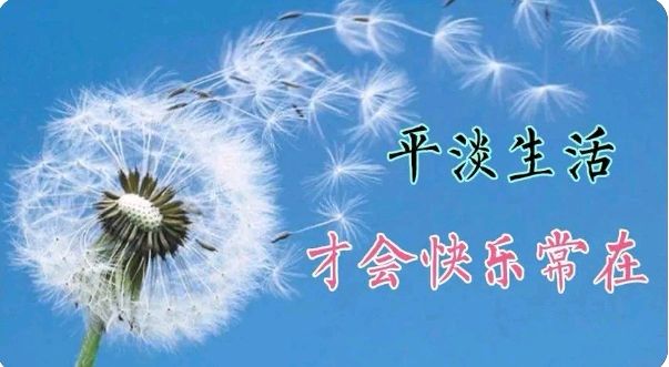 雯煜诵读《你来，我在，有多好》作者/闲情 编辑制作/雨杉【花雨馨声】第627期（图5）