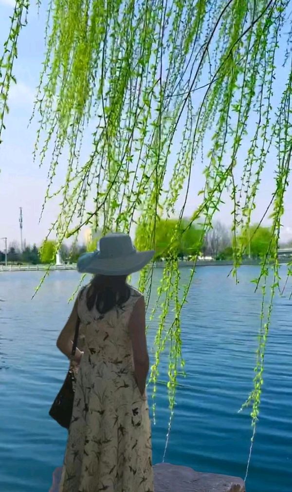 联机全球发布黄玉萍作品欣赏（图3）