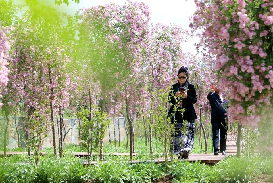 《龙游天下现代古诗新作鉴赏》作者:龙游天下 配乐:《画面音乐》 [中国现代诗歌文化传媒]（图8）