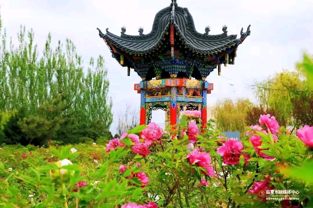 《龙游天下现代古诗新作鉴赏》作者:龙游天下 配乐:《画面音乐》 [中国现代诗歌文化传媒]（图6）
