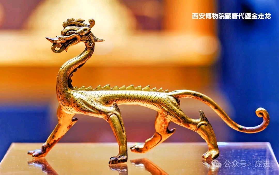 西安的龙（庞进）