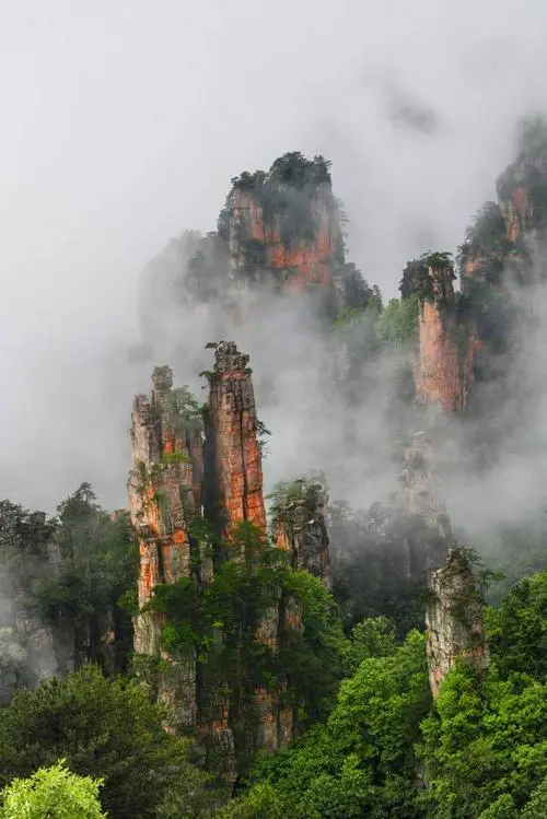 千家诗江西站五一国际劳动节诗词选(图7)