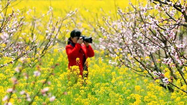 请欣赏刘锁海诗词16首（图9）