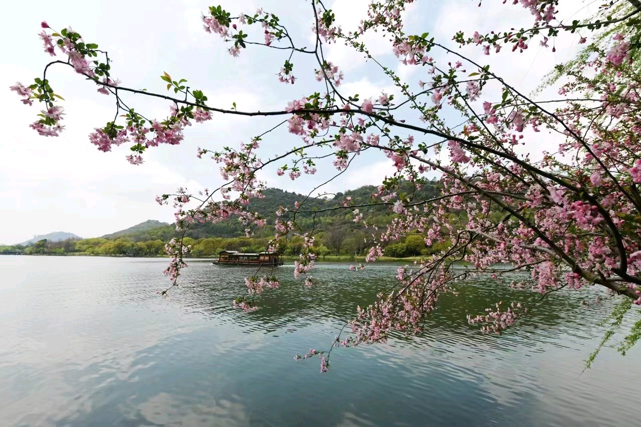 【荣耀中国】五律 立夏近李继忠（图3）