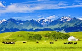 【英国文学】精品朗诵《那拉提 如诗如画》作者|新疆幸福、朗诵|薇薇、荐稿|贝蒂(图3)
