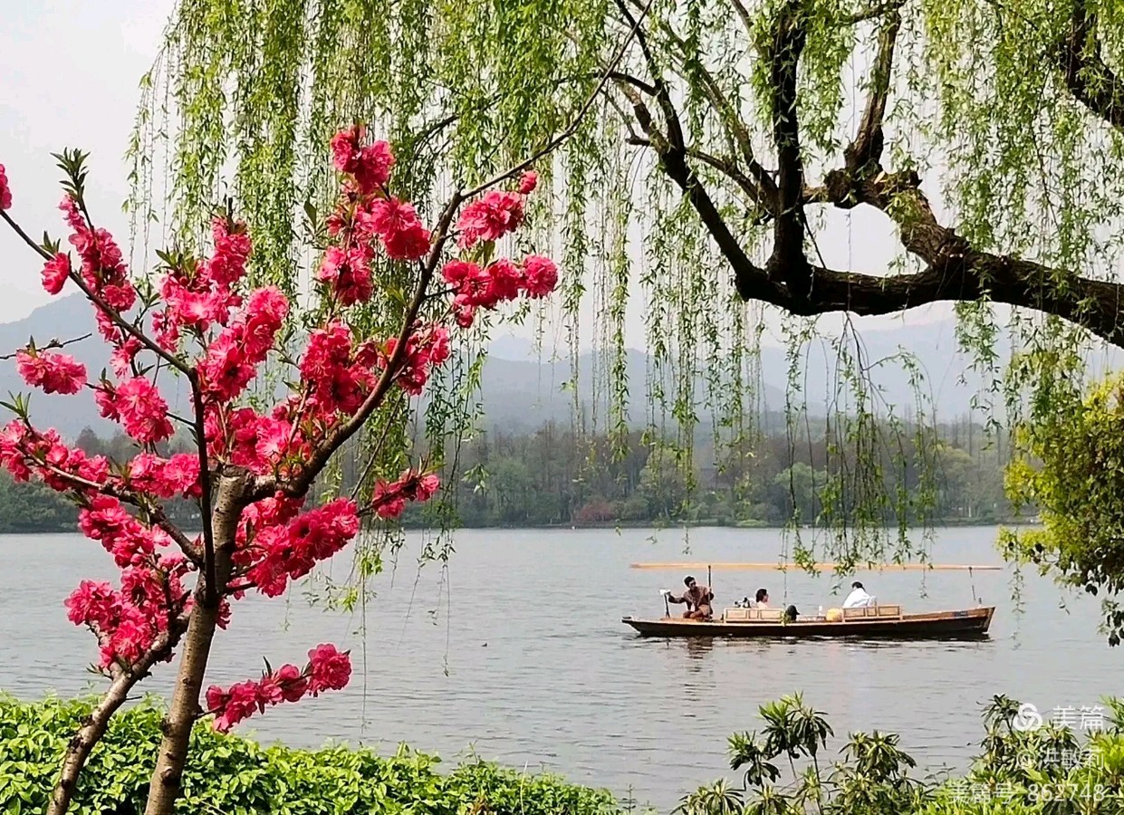请您欣赏崔绍剑老师的作品《逢春》外两首 主播//看海 编辑//海纳百川【中国长江文学社】有声文学平台【第8624期】（图4）