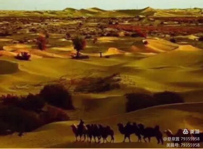 ［一个人的树洞］孤独的领悟（文/悬泉置）……莲叶之珠文学社（图3）
