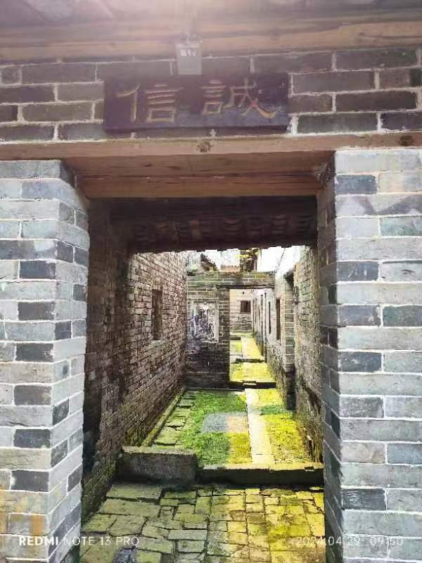 七绝诗四首-广西游/詹成(图2)